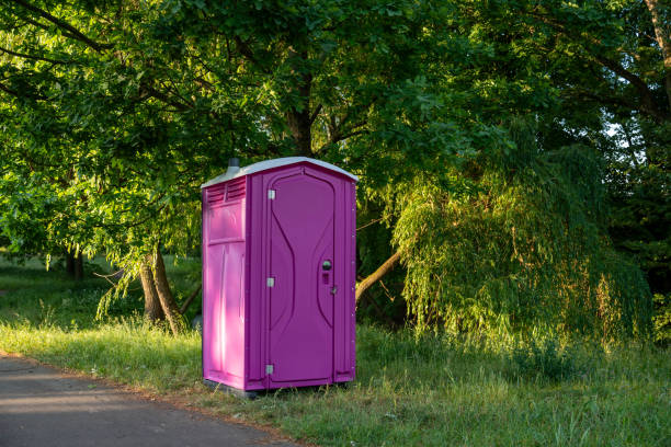 Affordable portable toilet rental in Toulon, IL